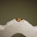 Prstan z morsko školjko