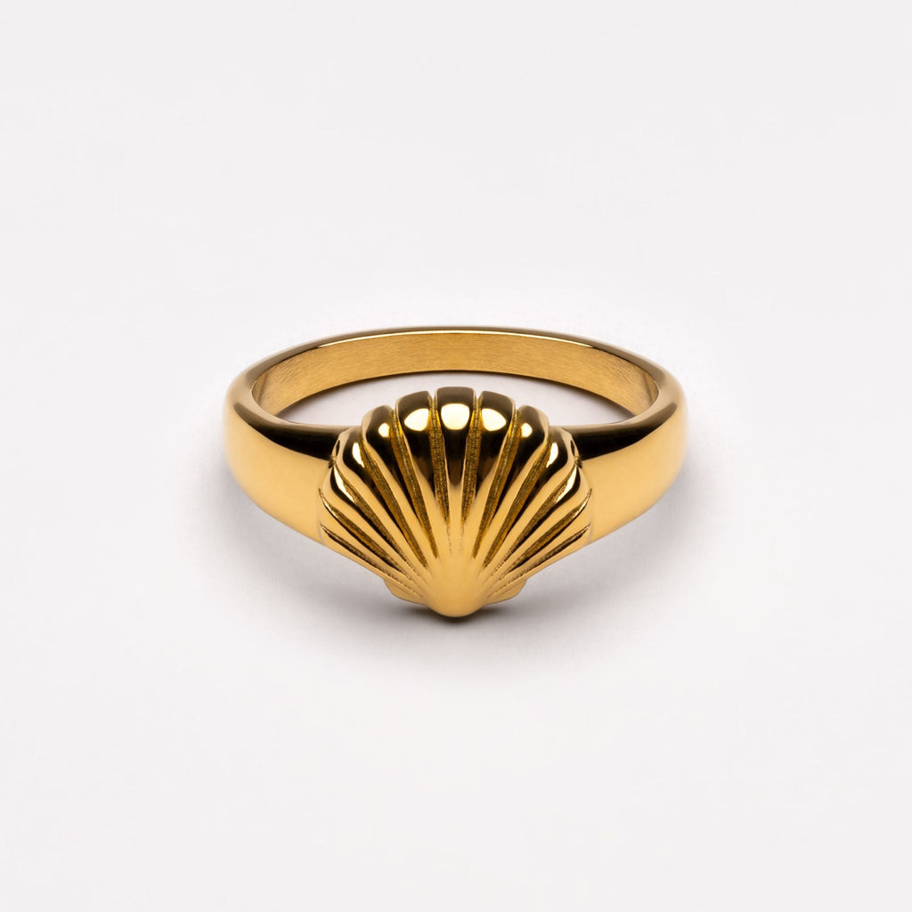 Prstan z morsko školjko