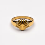 Prstan z morsko školjko